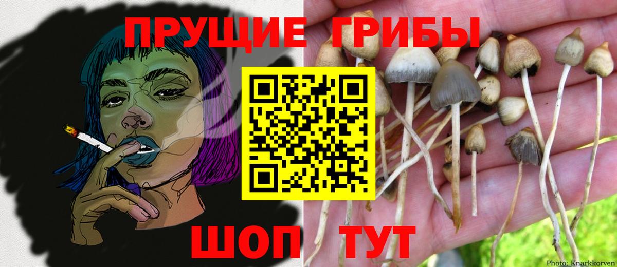 Набережные Челны  Галлюциногенные грибы прущие грибы  где купить   Вход с VPN 